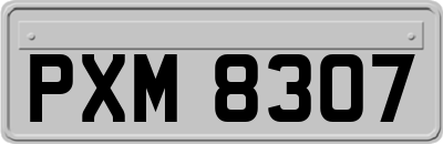 PXM8307