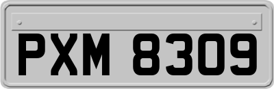 PXM8309