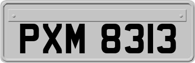 PXM8313