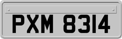 PXM8314