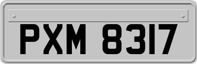 PXM8317