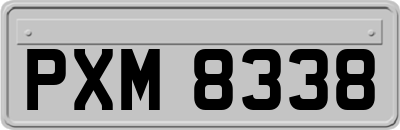 PXM8338