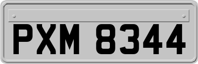 PXM8344