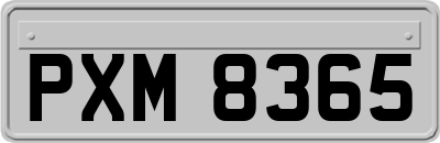 PXM8365