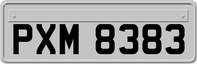 PXM8383