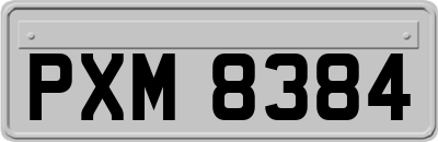 PXM8384