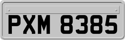 PXM8385