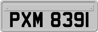 PXM8391