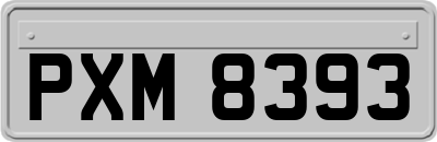 PXM8393