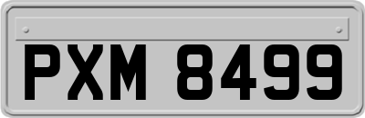 PXM8499