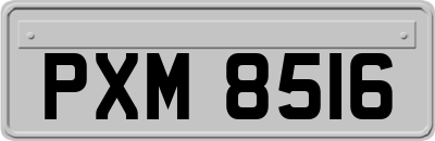 PXM8516