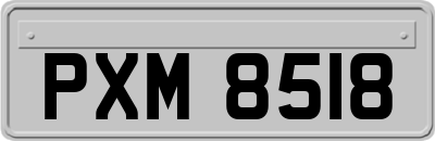 PXM8518