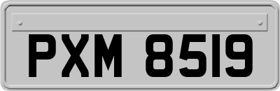 PXM8519