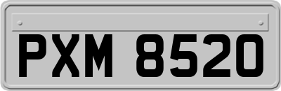 PXM8520