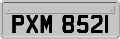 PXM8521