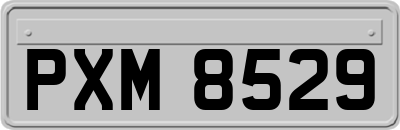 PXM8529