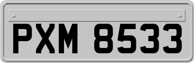 PXM8533