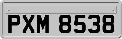 PXM8538