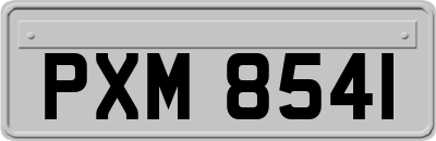 PXM8541