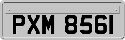 PXM8561