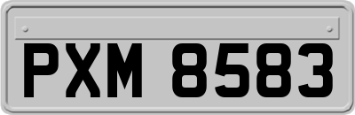 PXM8583