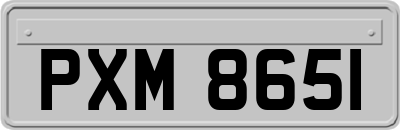 PXM8651