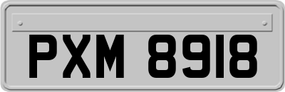 PXM8918