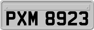 PXM8923