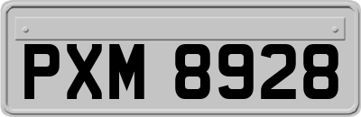 PXM8928