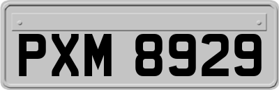 PXM8929