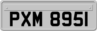 PXM8951