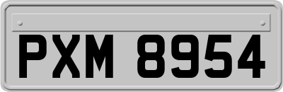 PXM8954