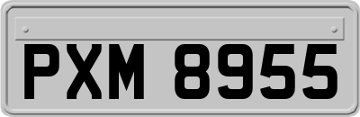 PXM8955