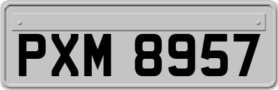 PXM8957