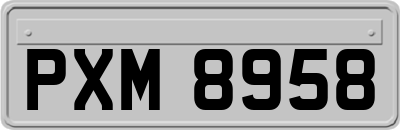 PXM8958