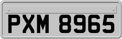 PXM8965