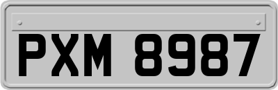 PXM8987