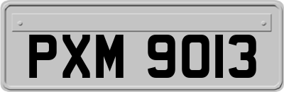 PXM9013