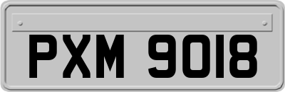 PXM9018