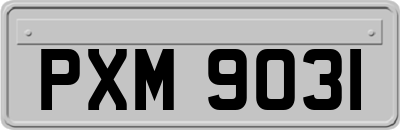 PXM9031