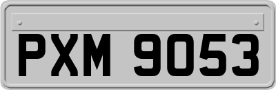 PXM9053