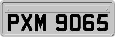 PXM9065