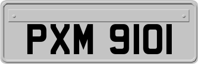 PXM9101