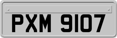 PXM9107