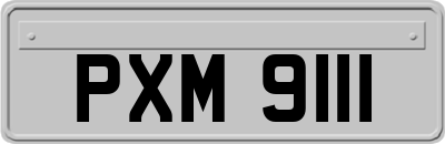 PXM9111