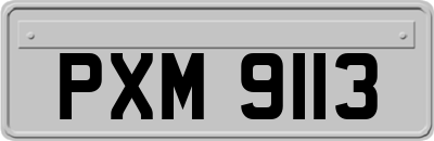 PXM9113