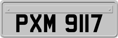 PXM9117