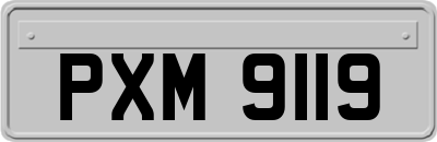 PXM9119