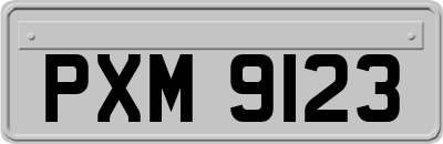 PXM9123