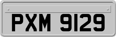 PXM9129